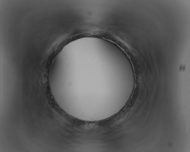 X0000092261447200710051310