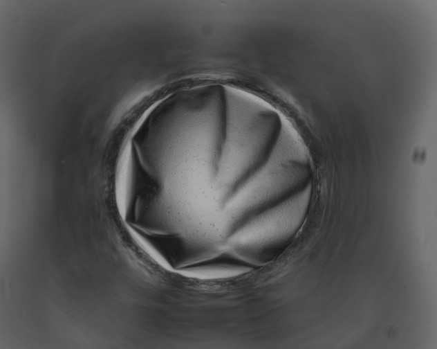 X0000092261448200710051310