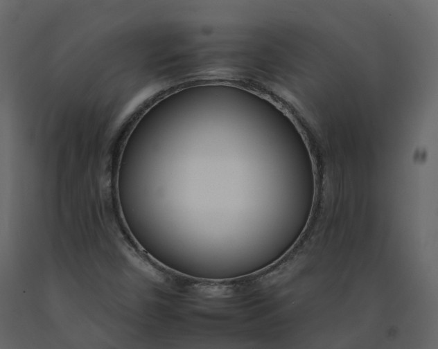 X0000092261450200710051310