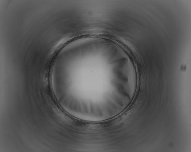 X0000092261451200710051310