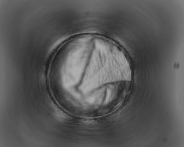 X0000092261452200710051310