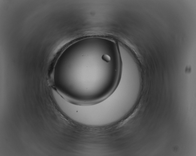 X0000092261453200710051310