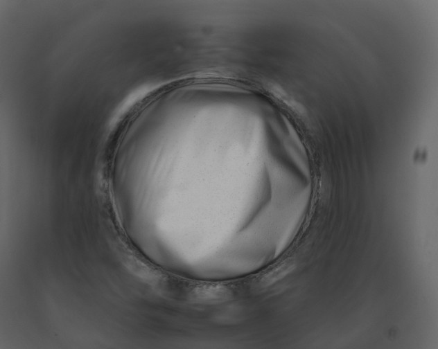 X0000092261454200710051310