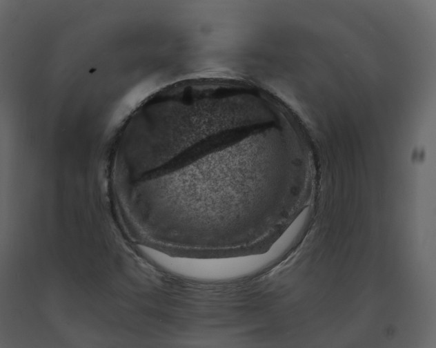 X0000092261455200710051310