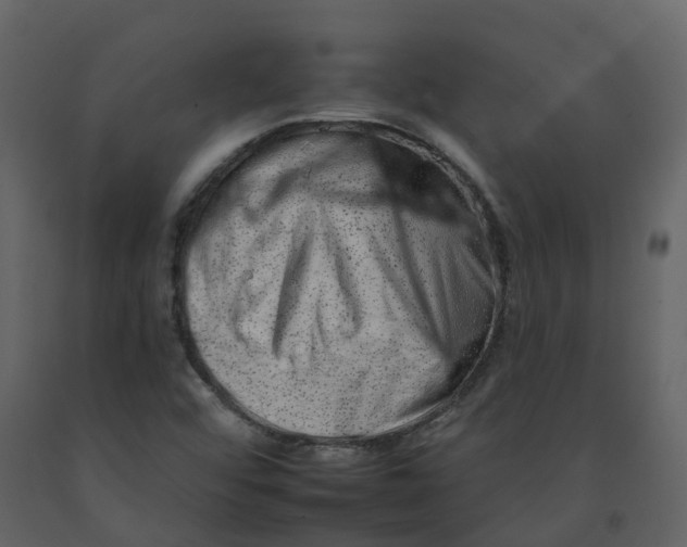 X0000092261456200710051310