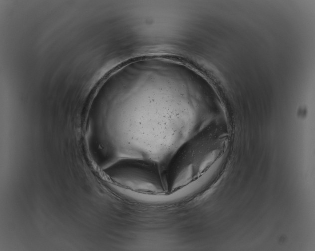 X0000092261457200710051310