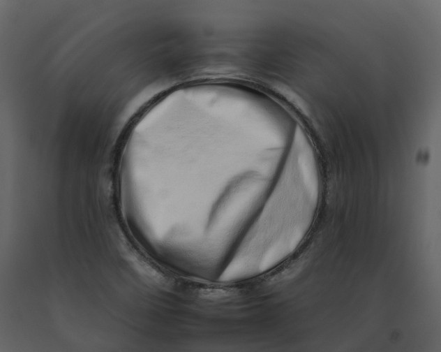 X0000092261458200710051310