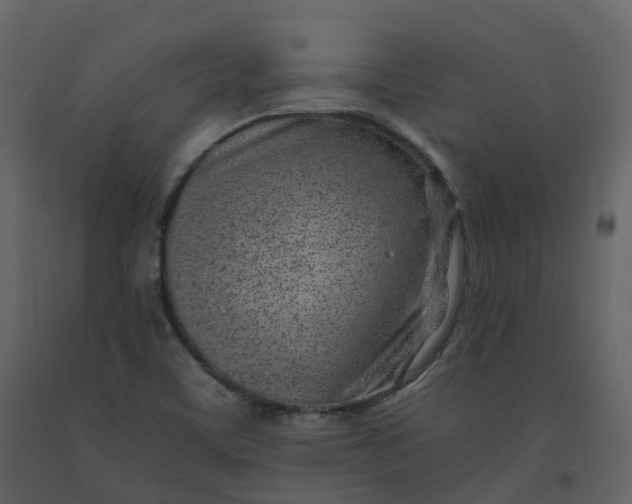 X0000092261459200710051310