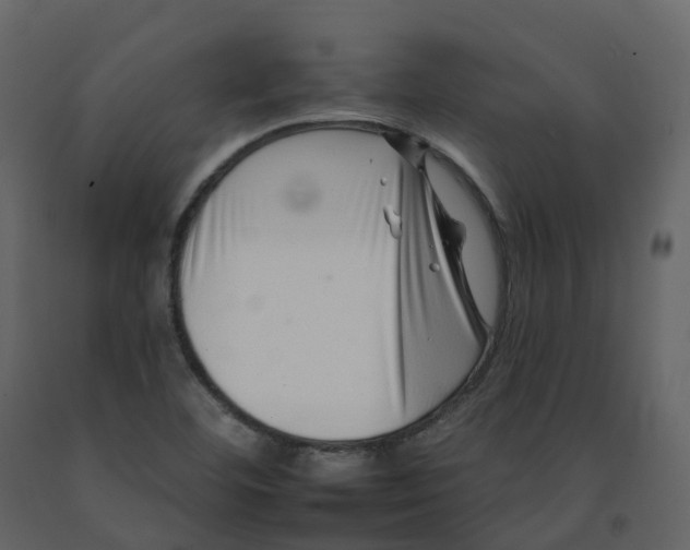 X0000092261460200710051310