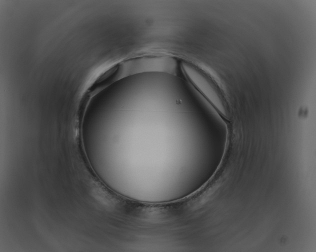 X0000092261461200710051310