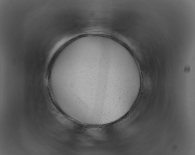 X0000092261462200710051310