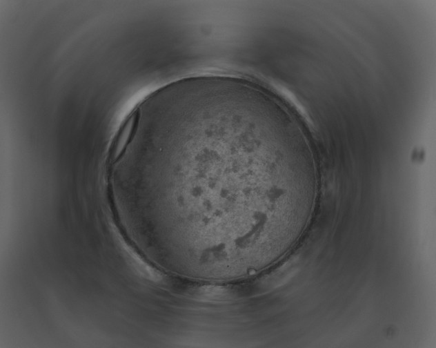 X0000092261463200710051310