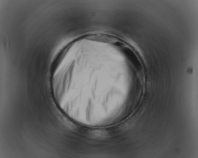 X0000092261464200710051310