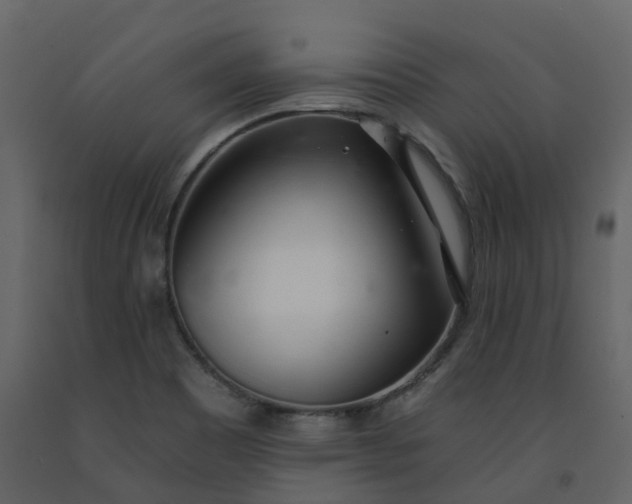 X0000092261465200710051310