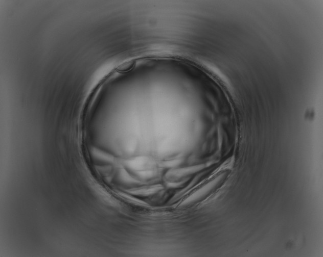 X0000092261467200710051310