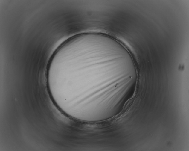 X0000092261468200710051310