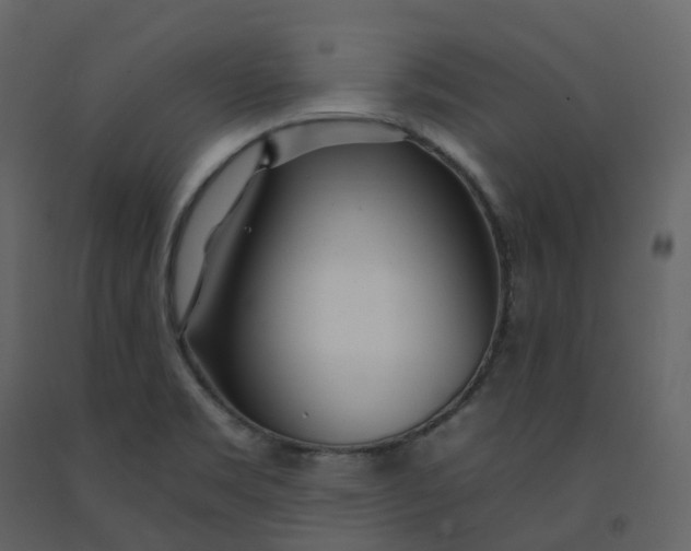 X0000092261469200710051310