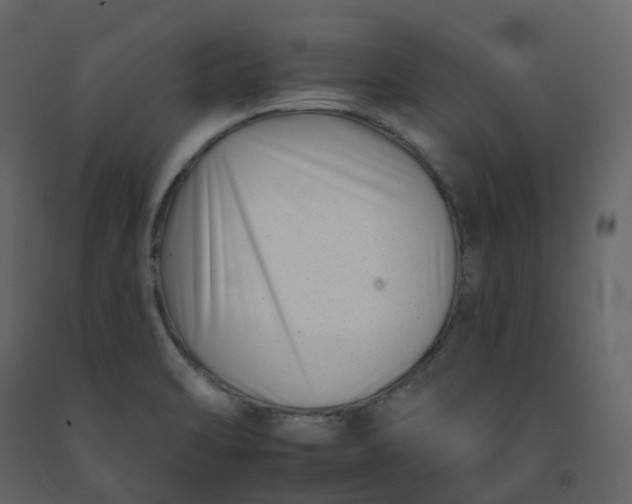 X0000092261470200710051310