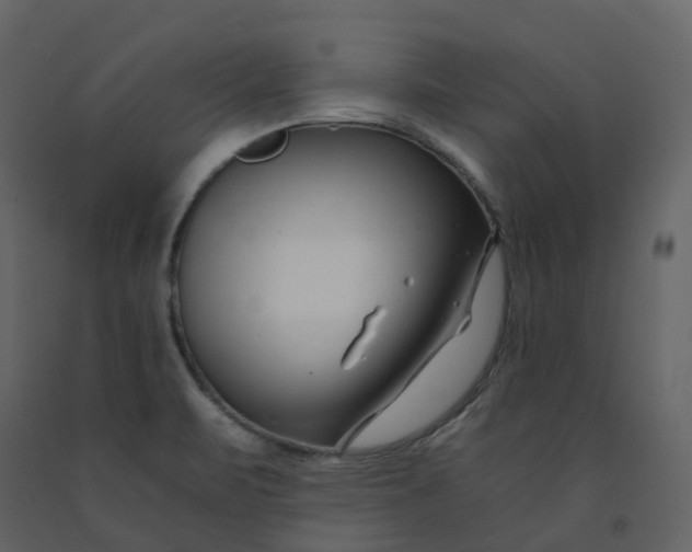 X0000092261471200710051310