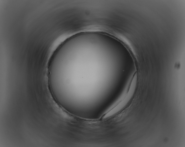 X0000092261472200710051310