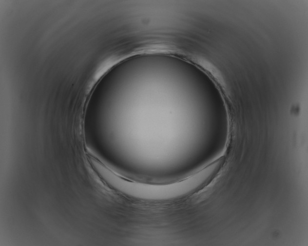 X0000092261473200710051310