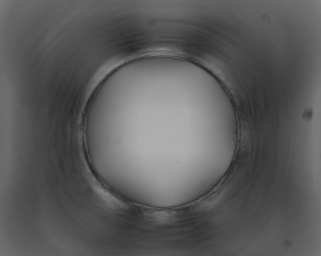 X0000092261474200710051310