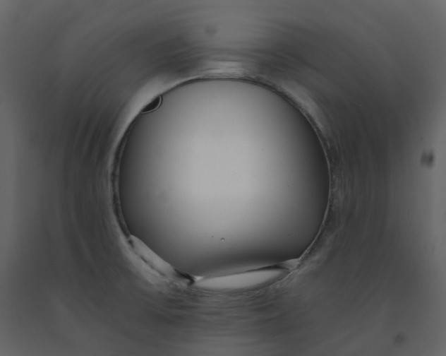 X0000092261475200710051310