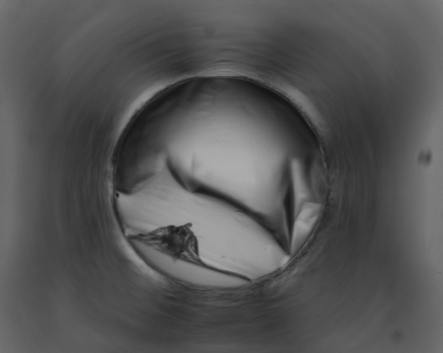 X0000092261476200710051310