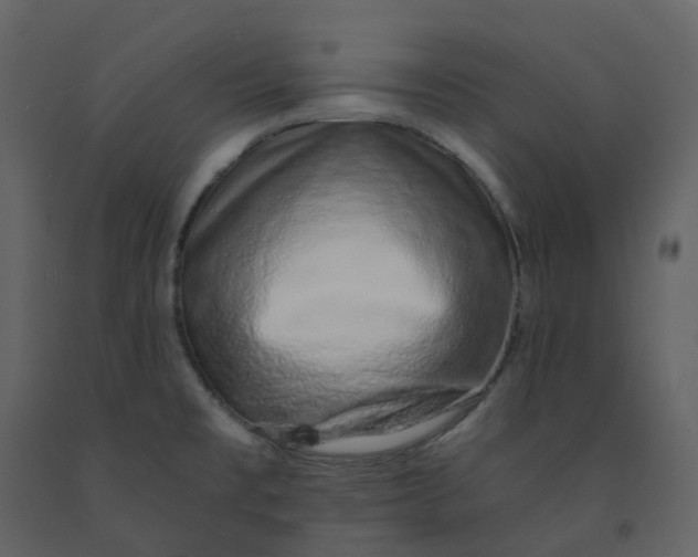 X0000092261477200710051310