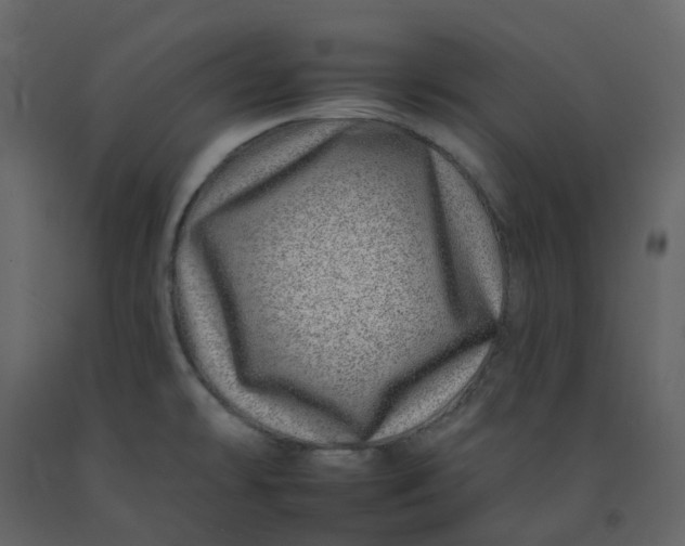 X0000092261478200710051310