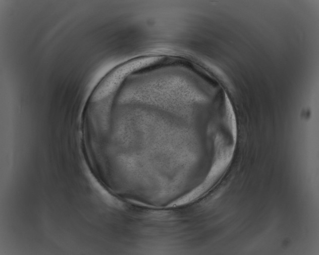 X0000092261479200710051310