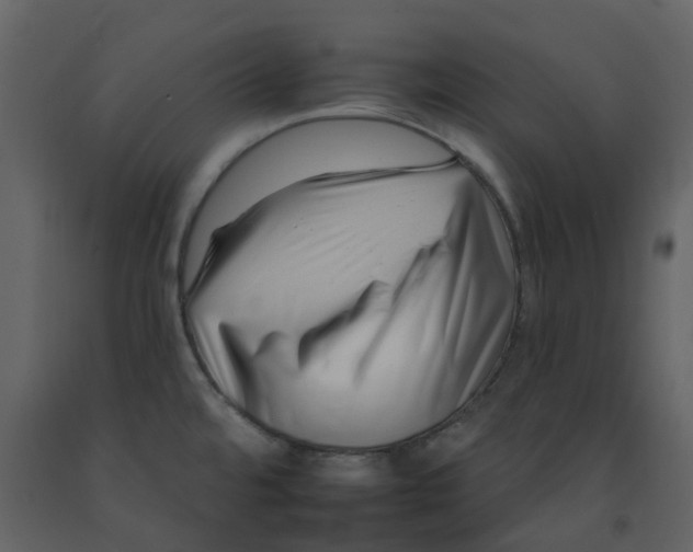 X0000092261480200710051309