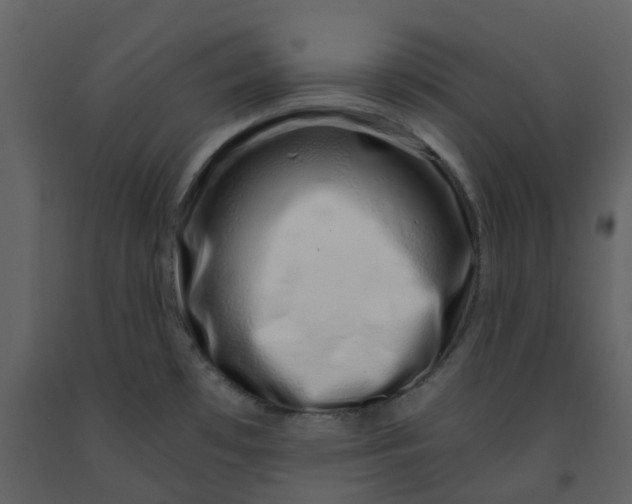 X0000092261481200710051309