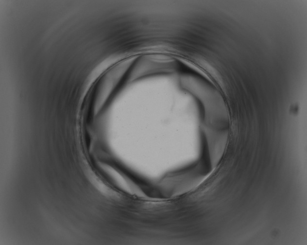 X0000092261482200710051309