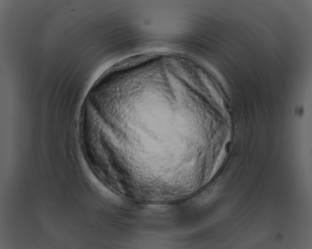 X0000092261483200710051309