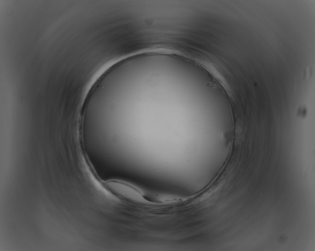 X0000092261484200710051309