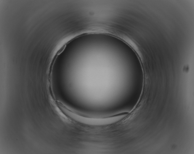 X0000092261485200710051309