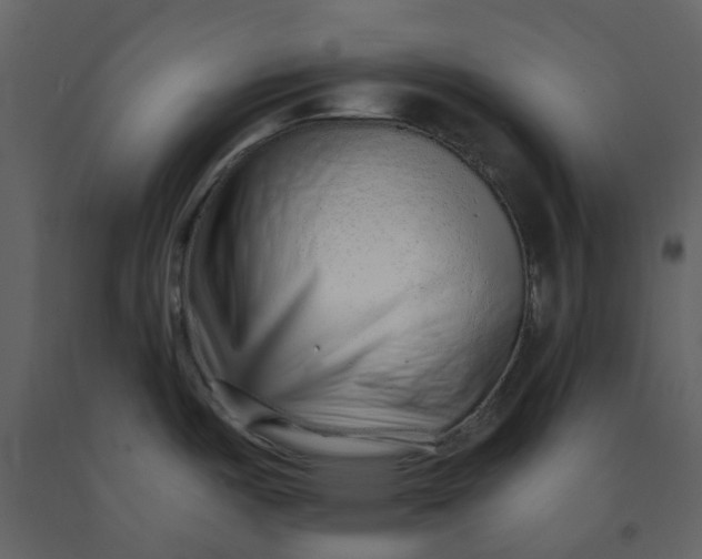 X0000092261487200710051309