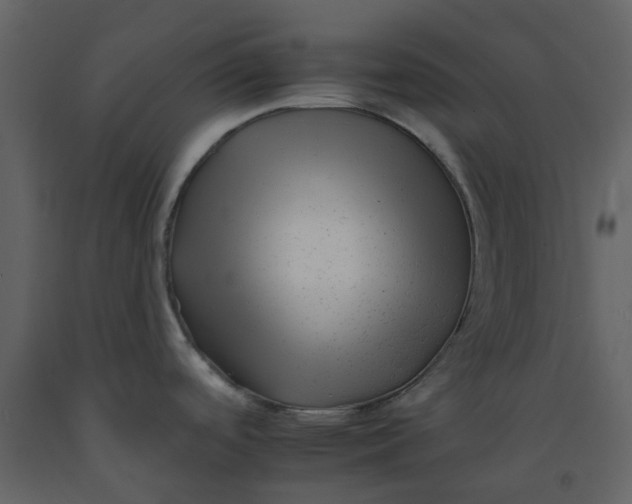 X0000092261488200710051309