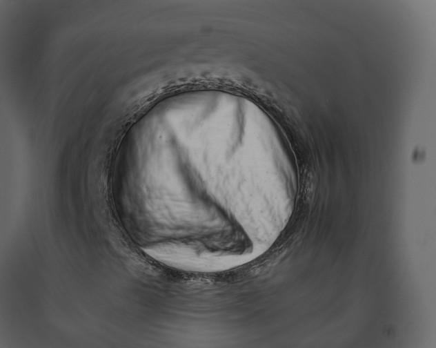 X0000092261489200710051309