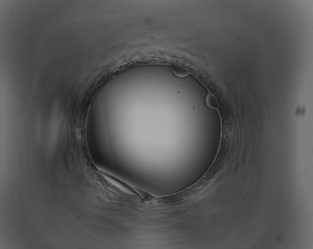 X0000092261490200710051309