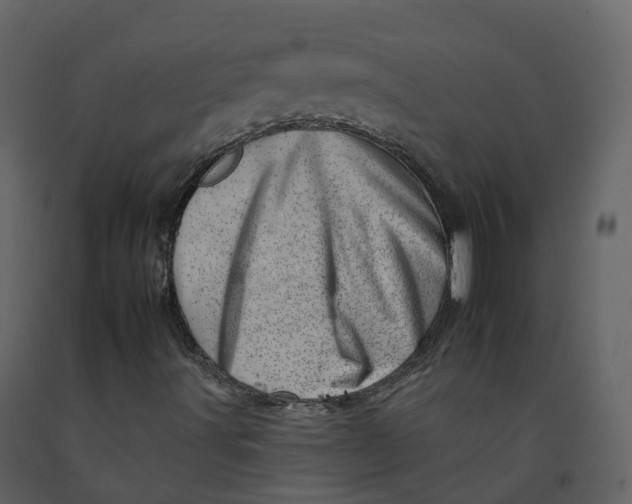 X0000092261491200710051309