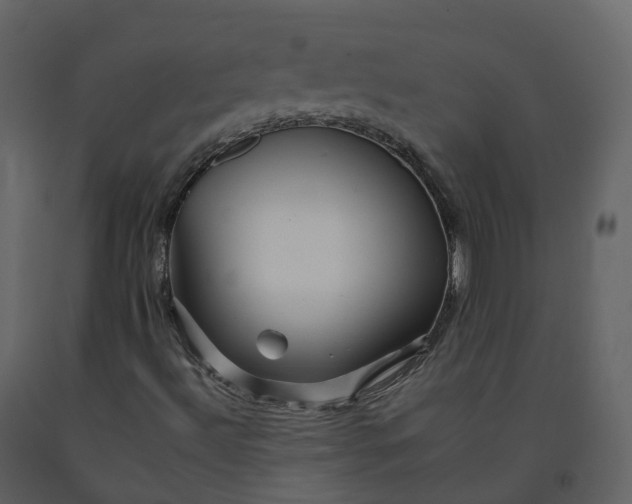 X0000092261492200710051309