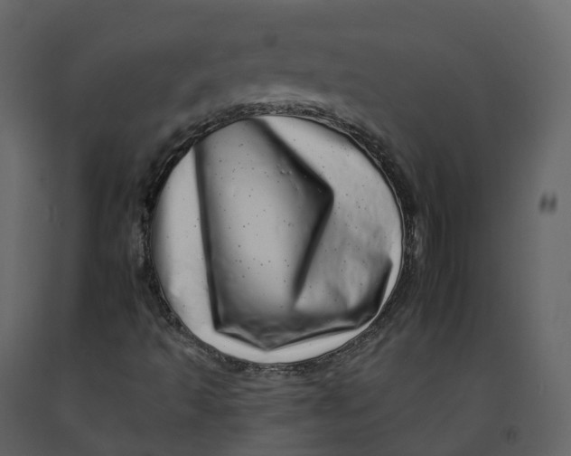 X0000092261493200710051309