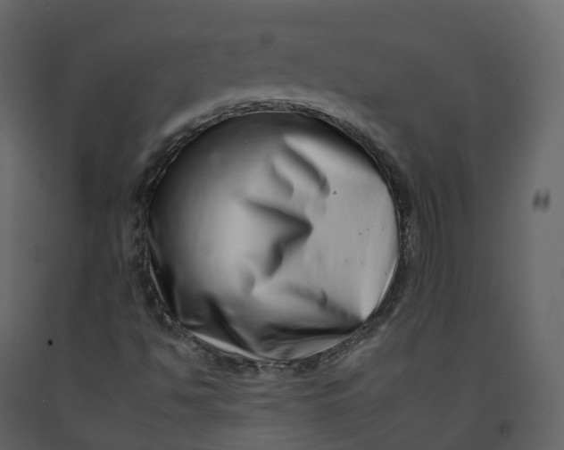 X0000092261494200710051309