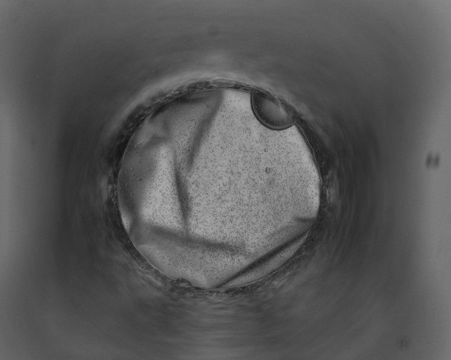 X0000092261495200710051309