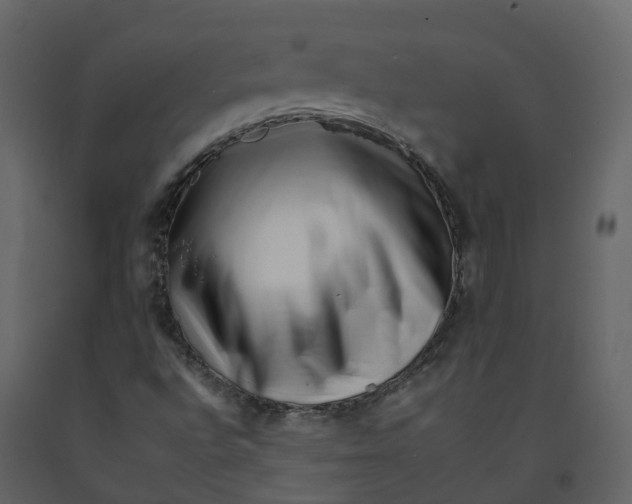 X0000092261496200710051309