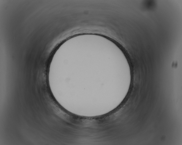 X0000092261498200710051309