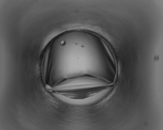 X0000092261501200710051309