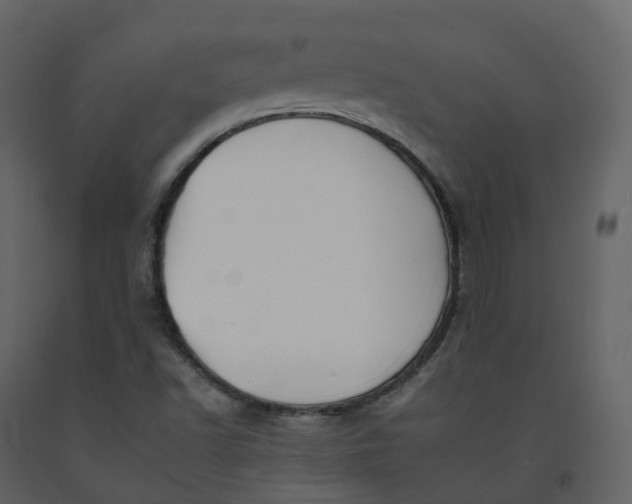 X0000092261502200710051309